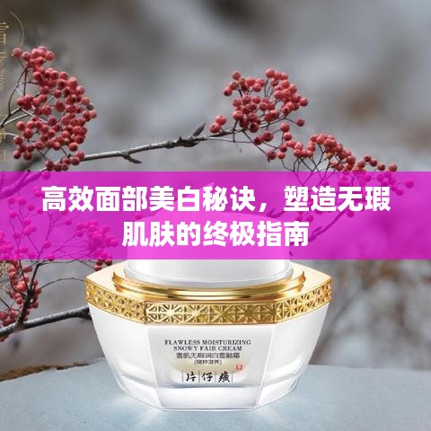 高效面部美白秘訣，塑造無(wú)瑕肌膚的終極指南
