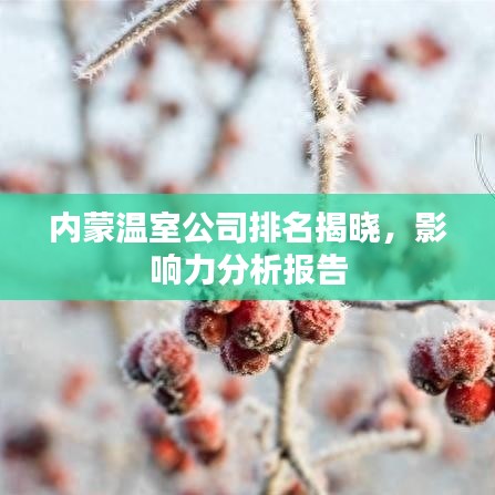 內(nèi)蒙溫室公司排名揭曉，影響力分析報告