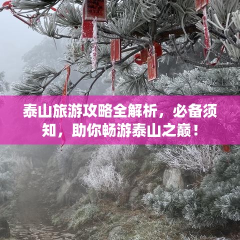 泰山旅游攻略全解析，必備須知，助你暢游泰山之巔！