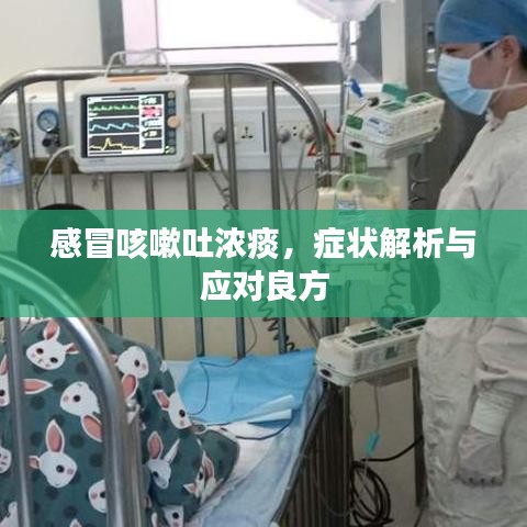 感冒咳嗽吐濃痰，癥狀解析與應(yīng)對良方